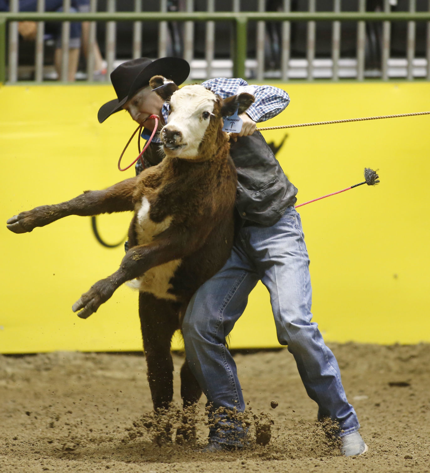 CNFR - Monday